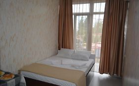 Hotel Niks